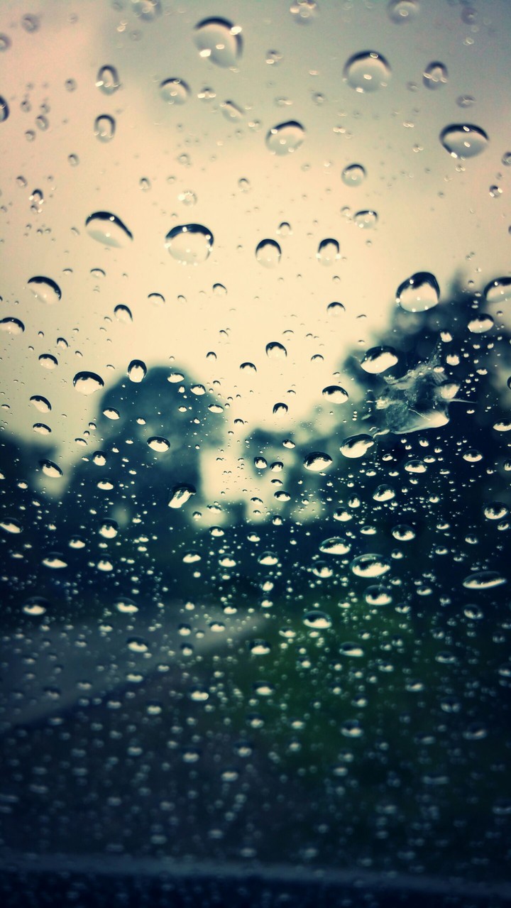 rain drops