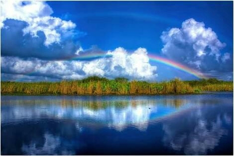 rainbow
