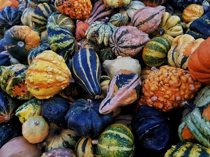 pumpkin