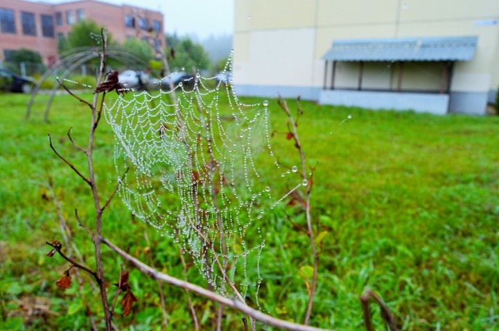 1 сентября хрустальная красота