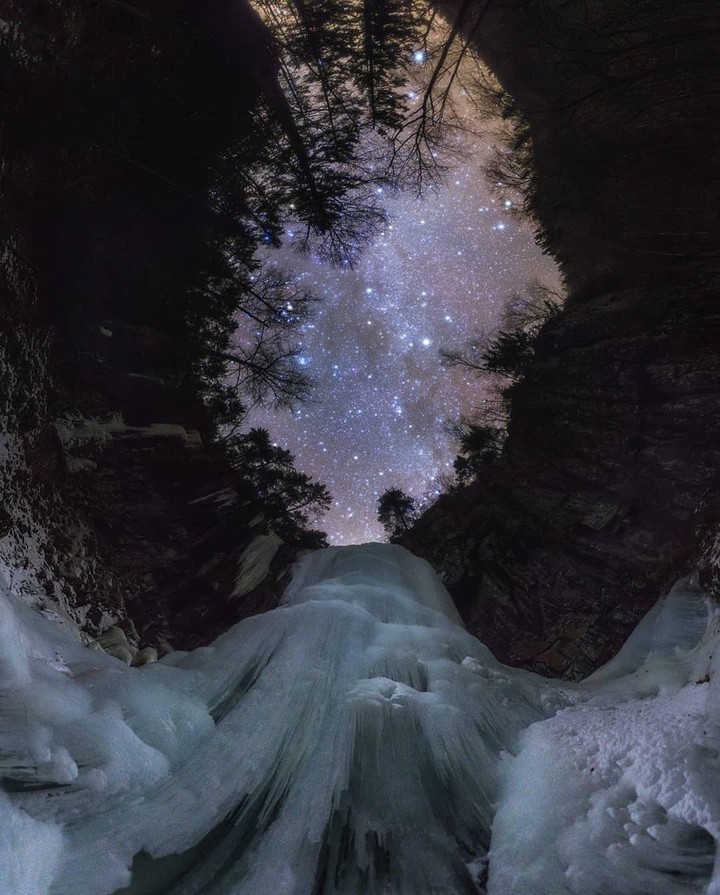 Stars