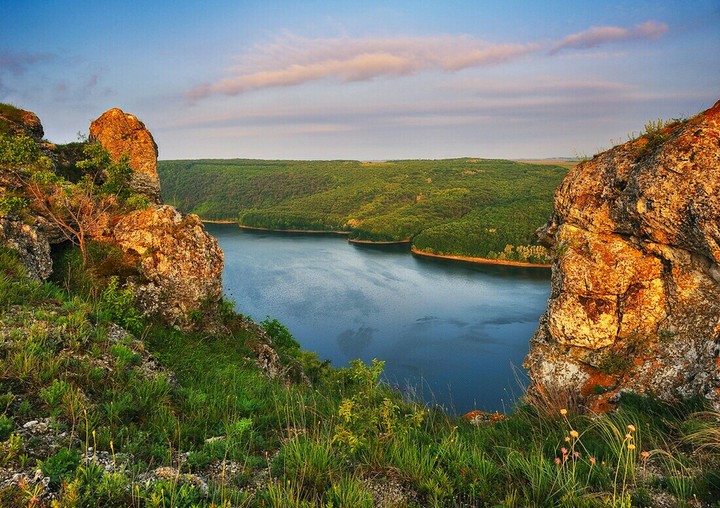 nature