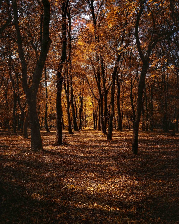 ,