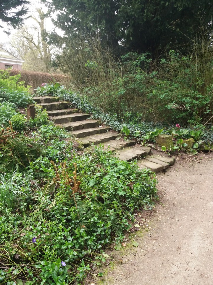 stair in nature