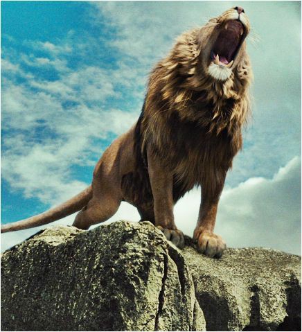lion ❤