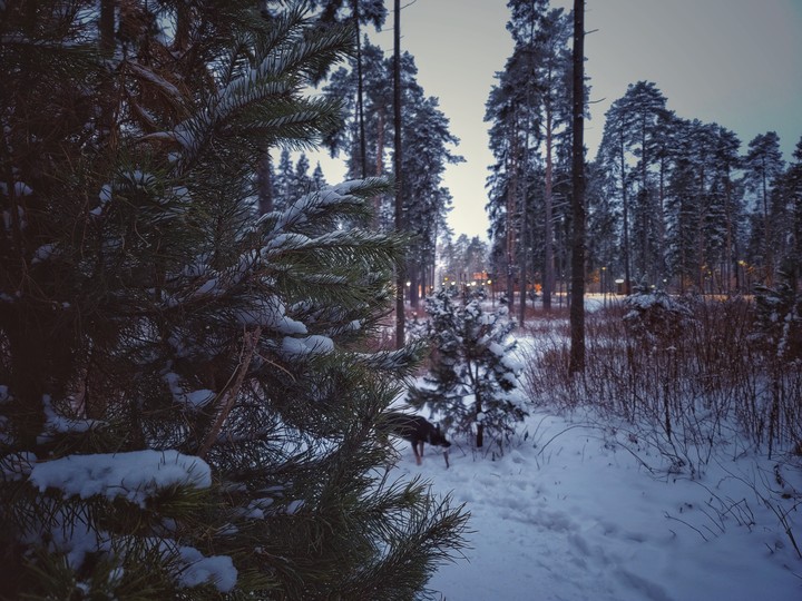 winter 2021