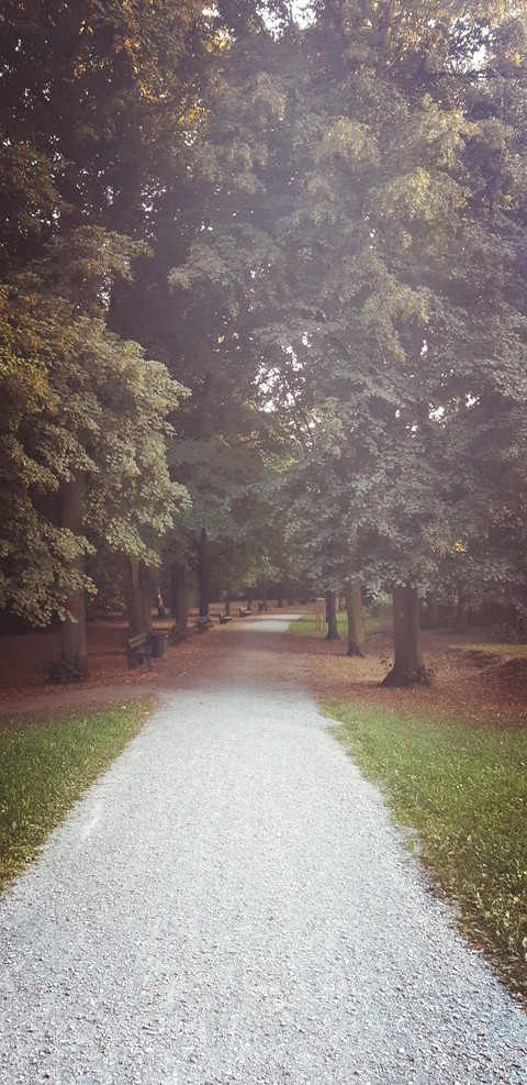 Borský park