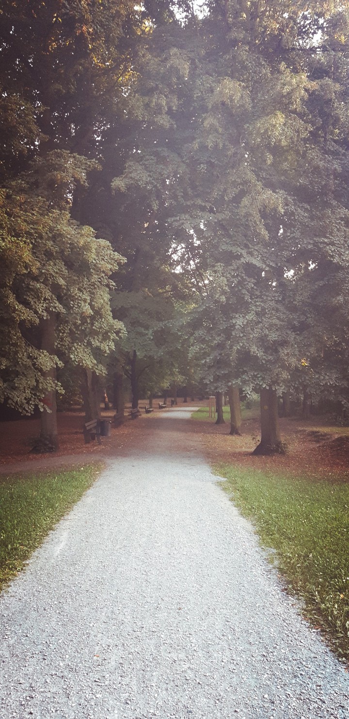 Borský park