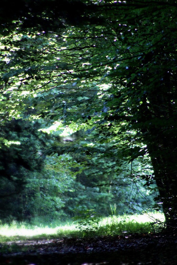 Mysterious corner