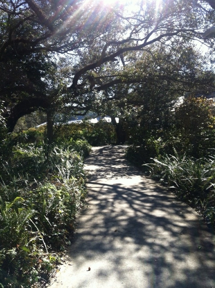 park pathway