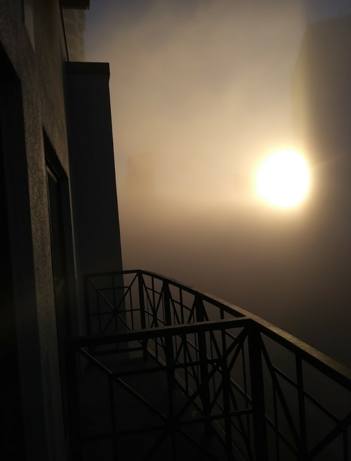 sunlight