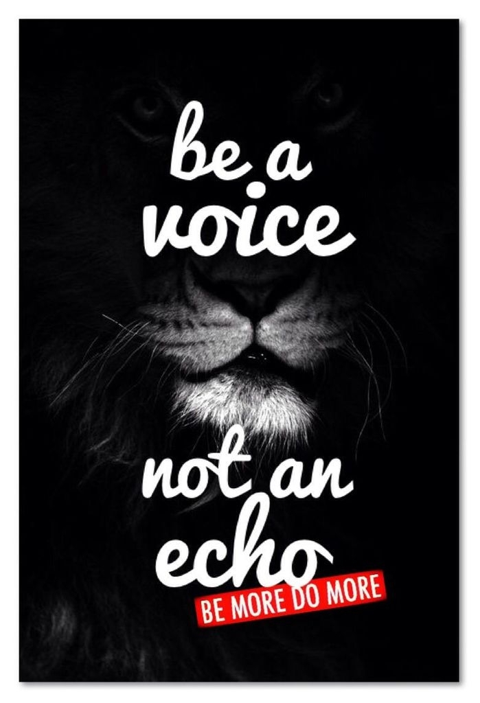 Be a voice, not an echo.