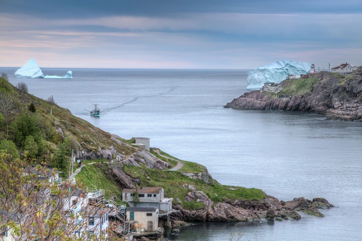 Iceberg Alley