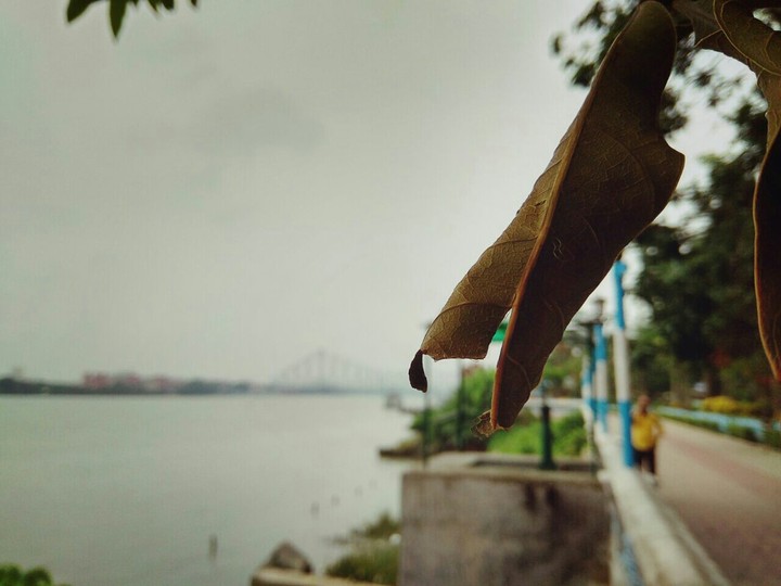 তুমিও হেঁটে দেখো কলকাতা