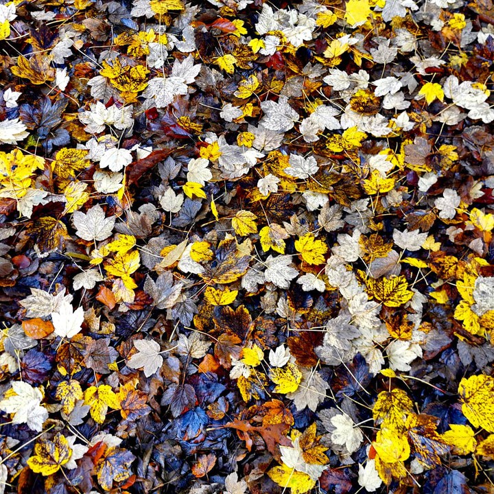autumn Dortmund