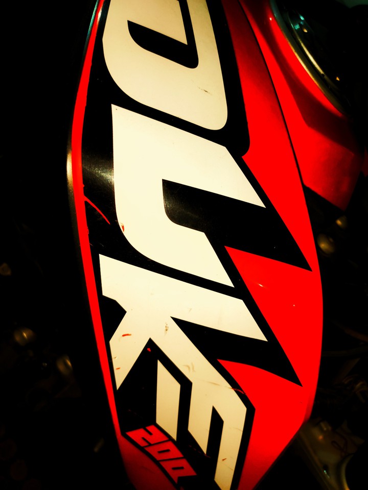 Duke 200