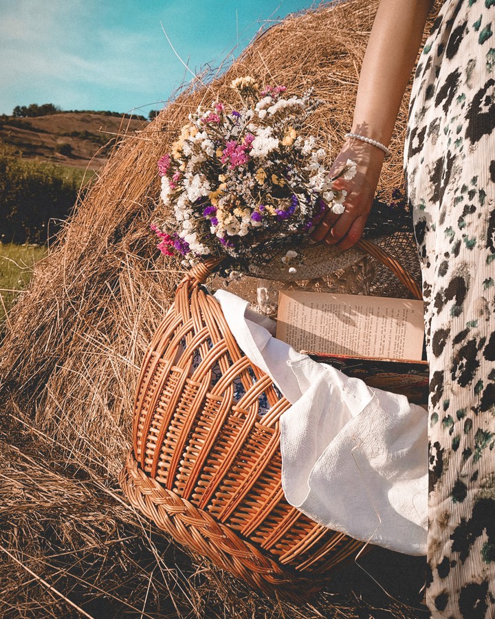 Sunny day