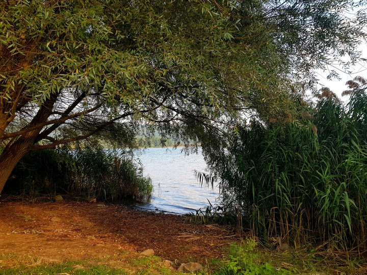 Lago di Vico