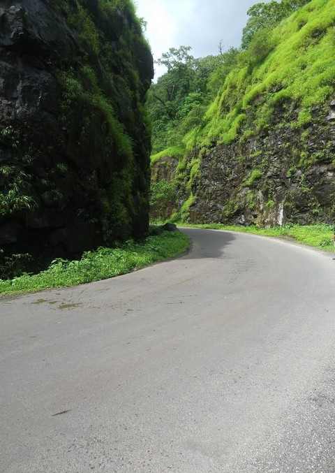 green nature ❤
