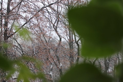 Winter start