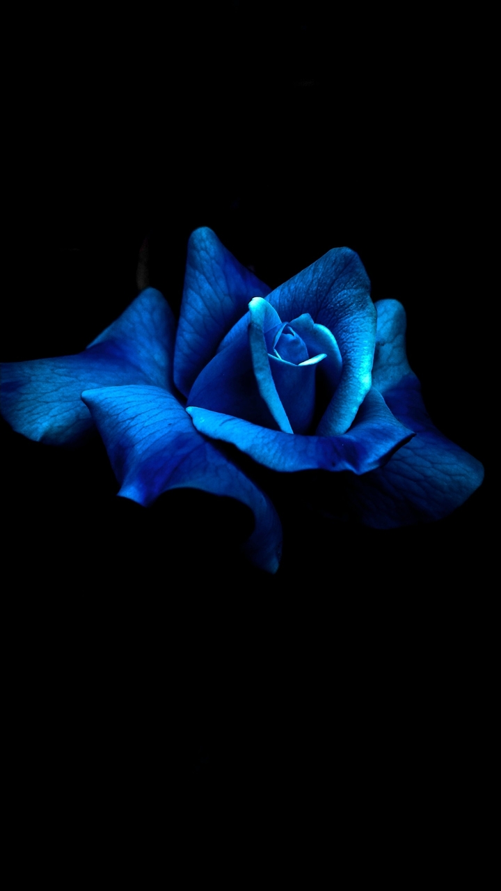 There can be poison behind a beauty