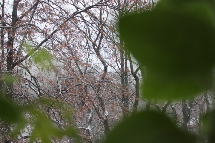 Winter start