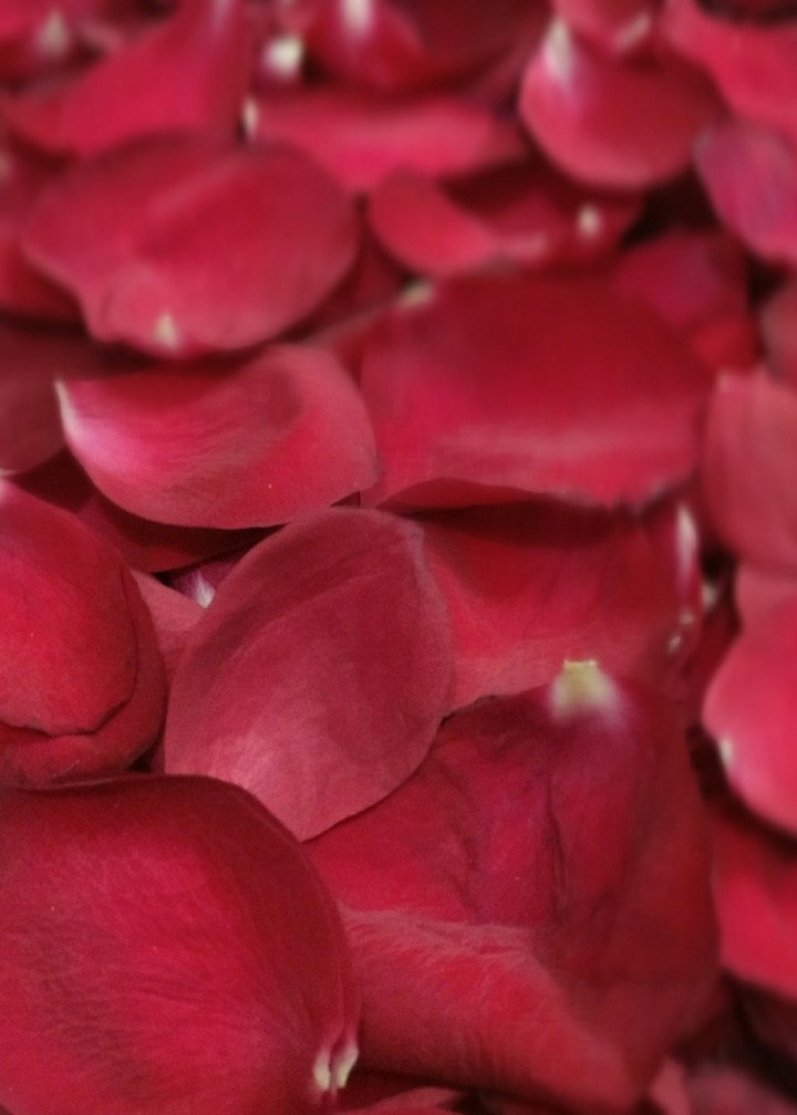 What a petal!