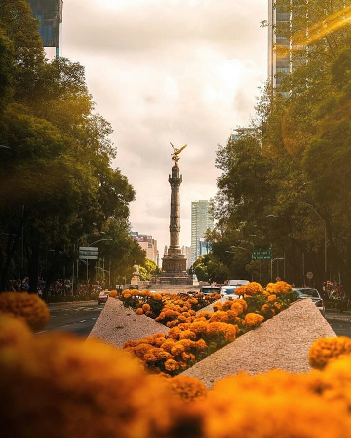 ❤CDMX❤