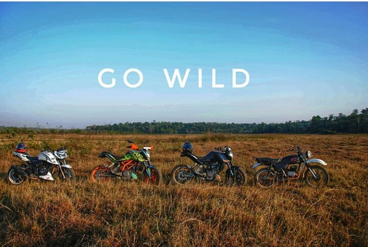 go wild
