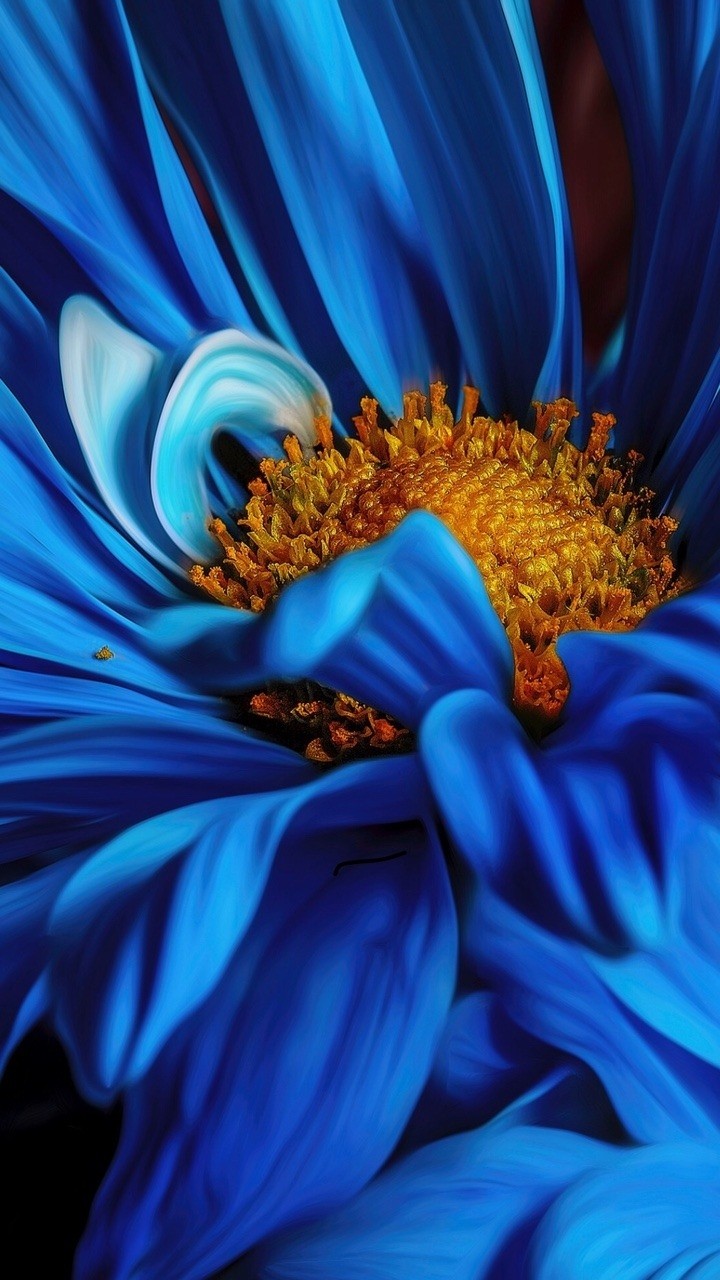 royal blue