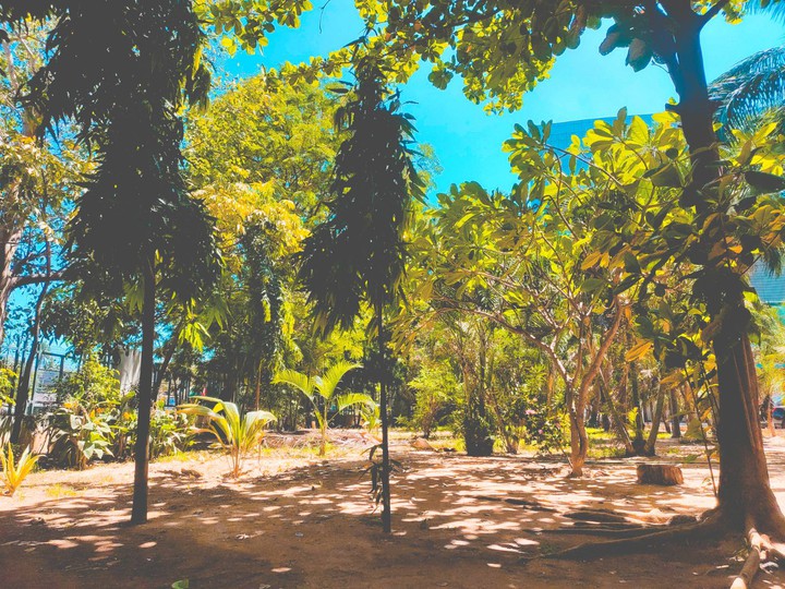 JUST WALK