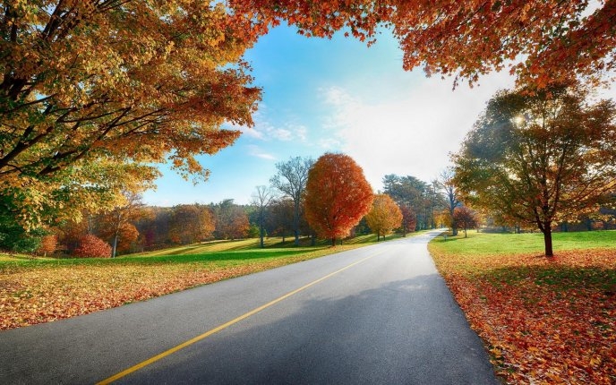 Path