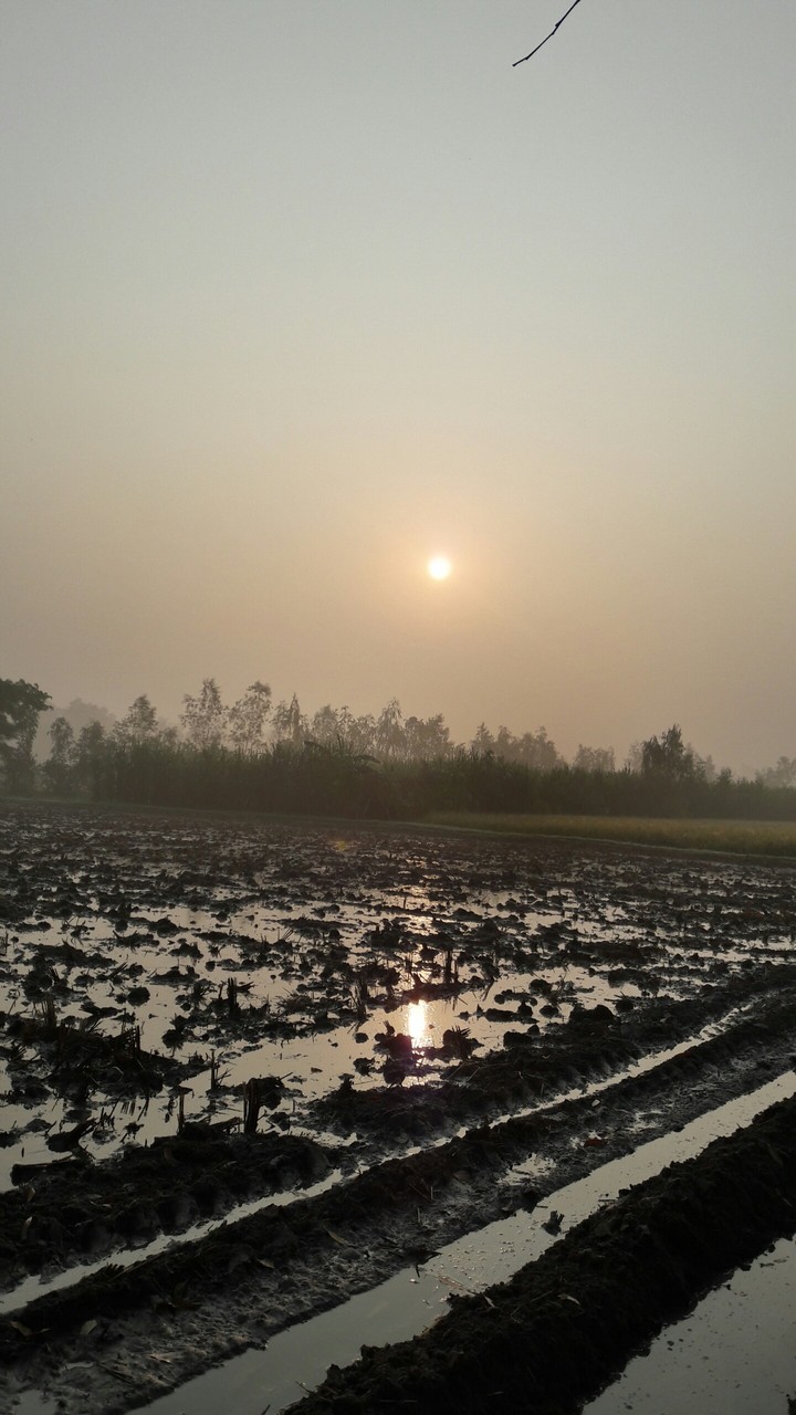 after rain in faram