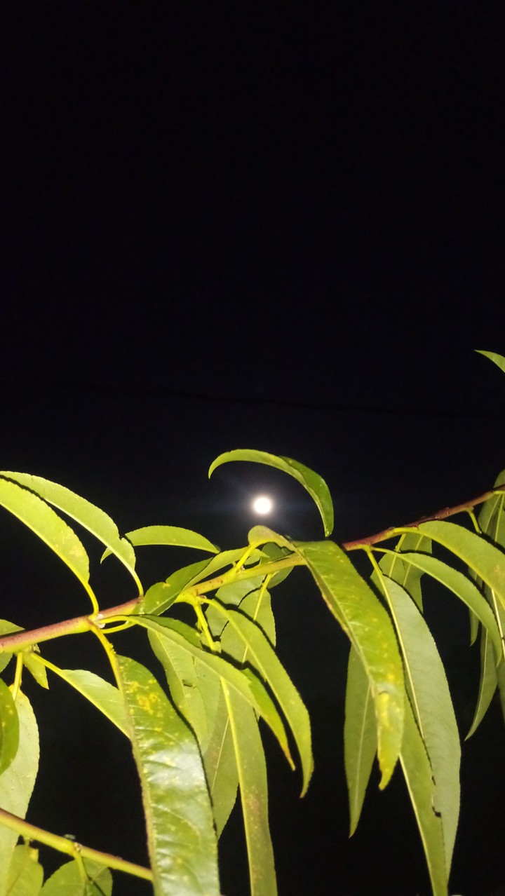 moon