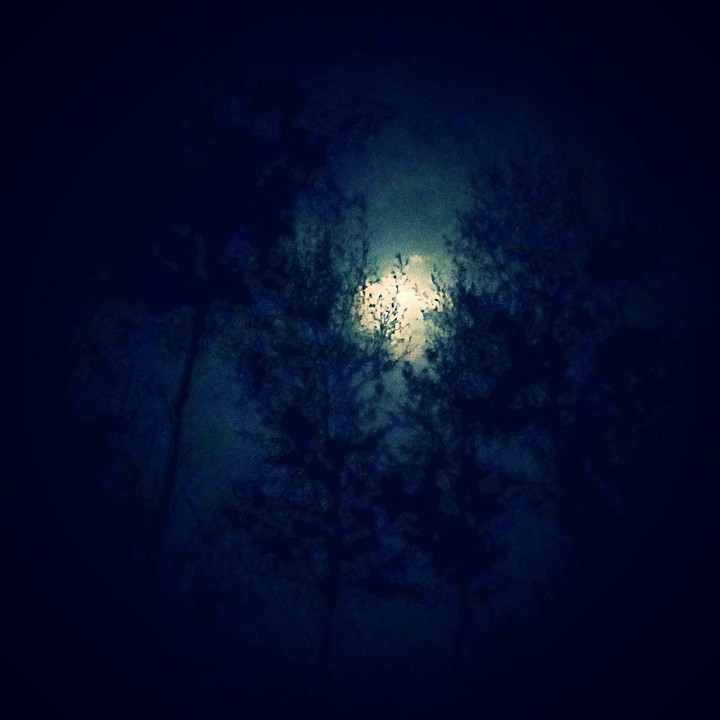 moon light