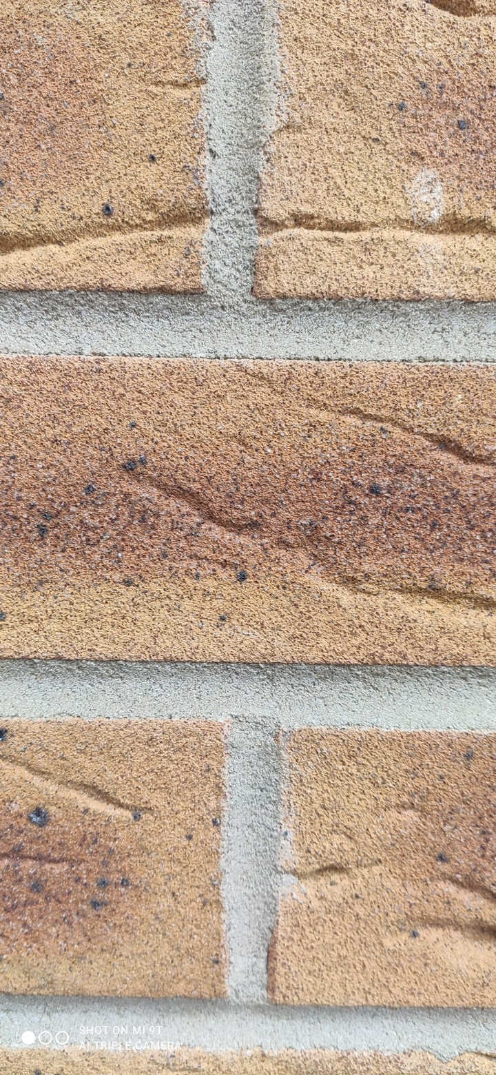 bricks texture