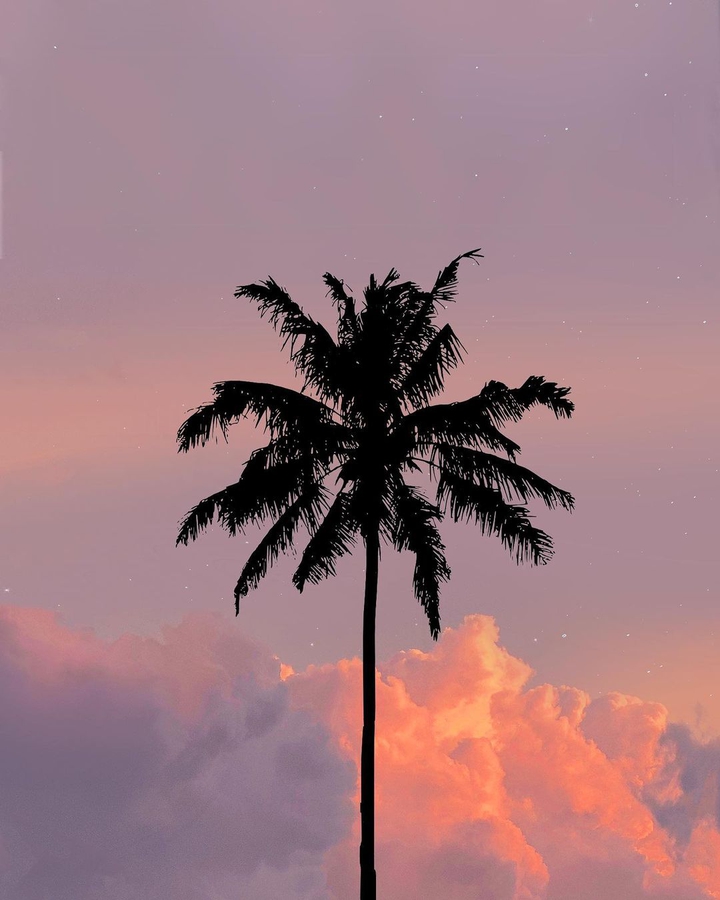 ☀️☘