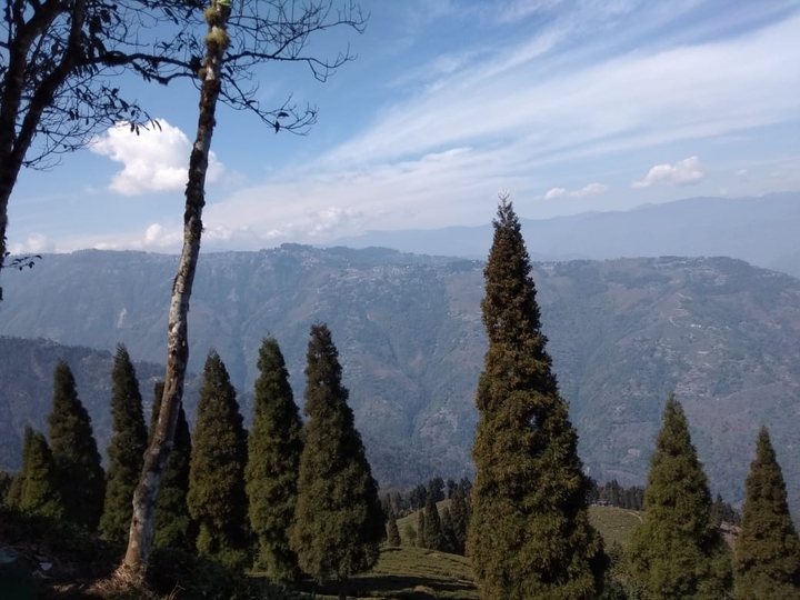 Beautiful nature