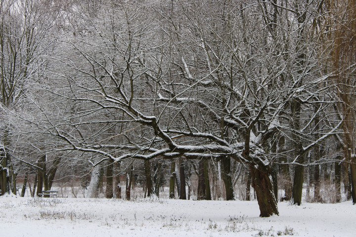 Winter