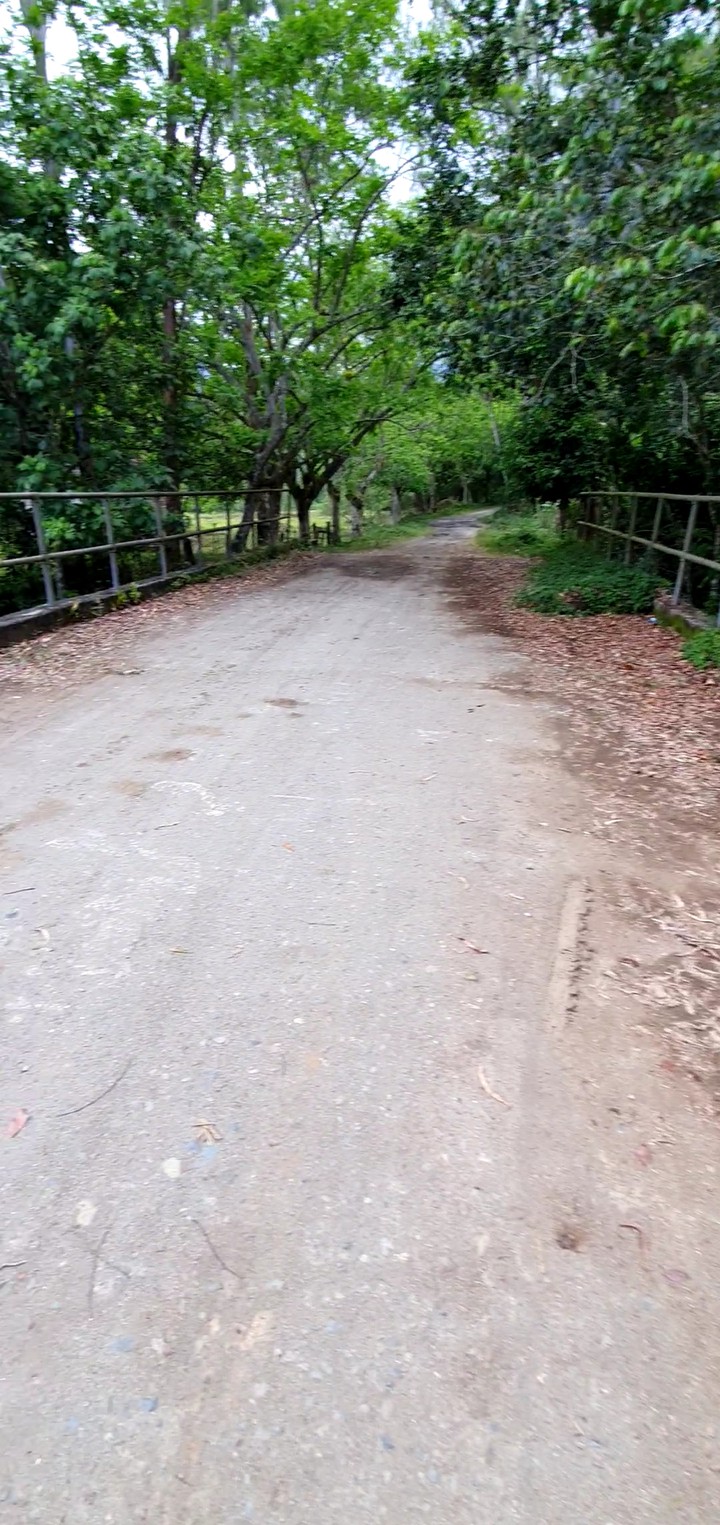 Beautiful bridge