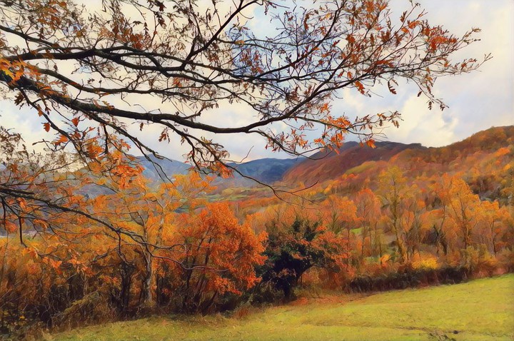 Warm Autumn