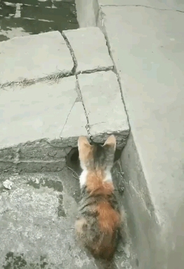 ❤️❤️❤️