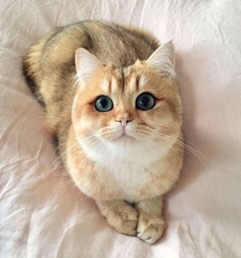 ❤❤❤