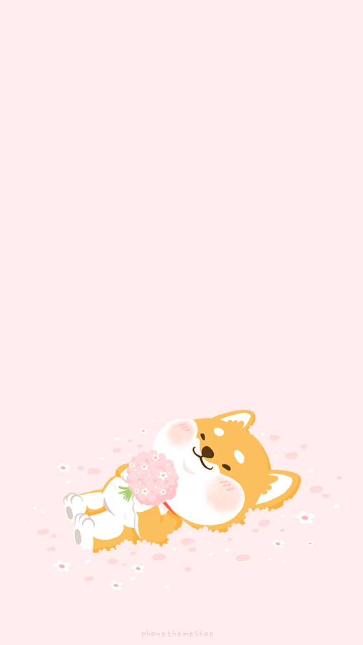 Spring shiba
