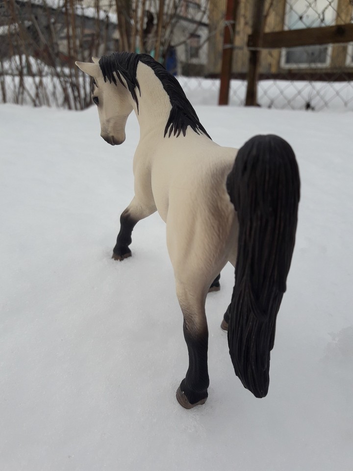 horse in the snow2