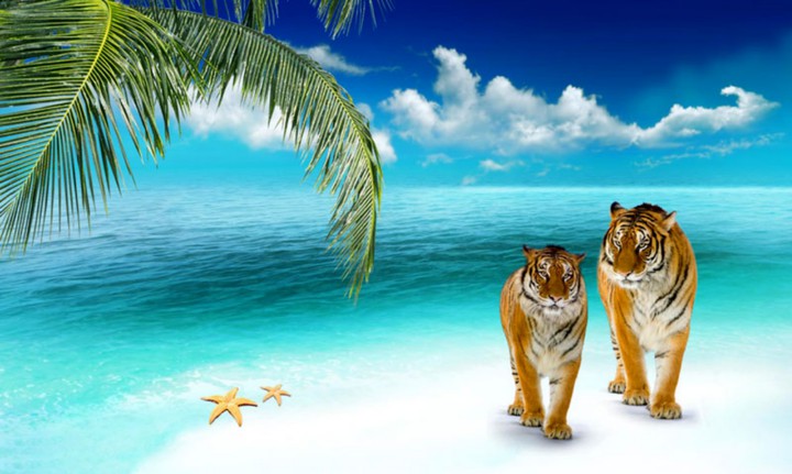 Tiger