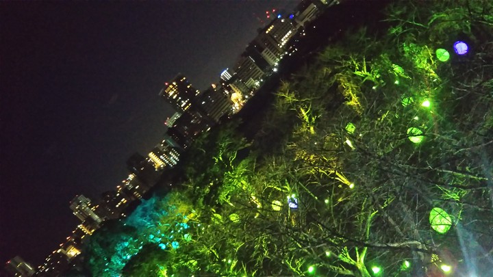 タマゴ