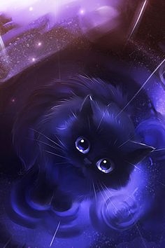 Mini Black Cat