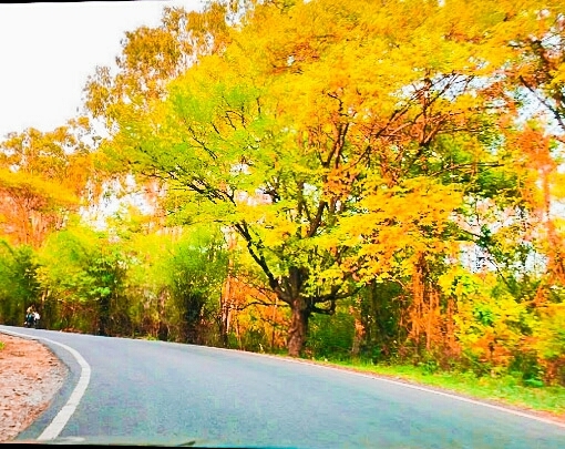 Nature by itself is a beauty!