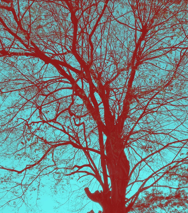 photo art